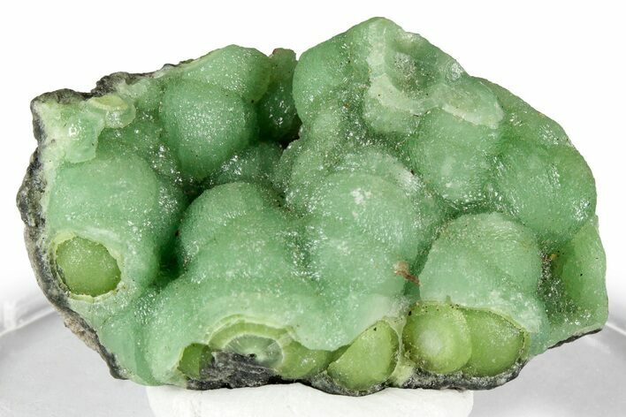 Sparkly Botryoidal Green Wavellite Formation - Arkansas #354583